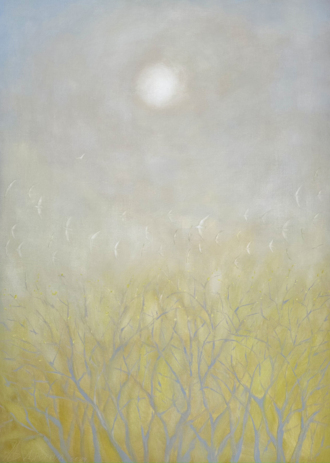 Прилетели солнечные птицы