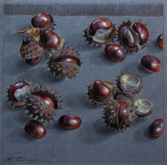 Каштаны с дачной просеки.