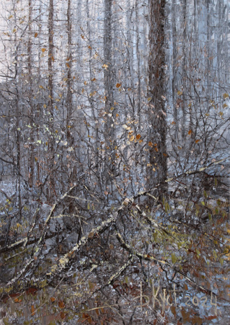 Из серии «Лес»