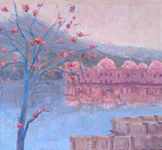 На озере Ман-Сагар