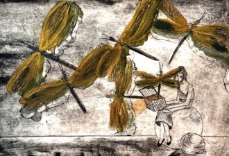 Одинокое множество. Стрекозы