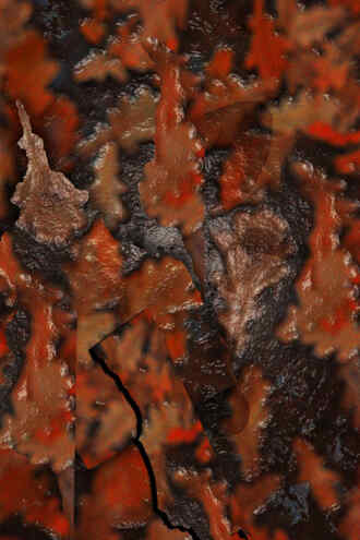 Рождение осени