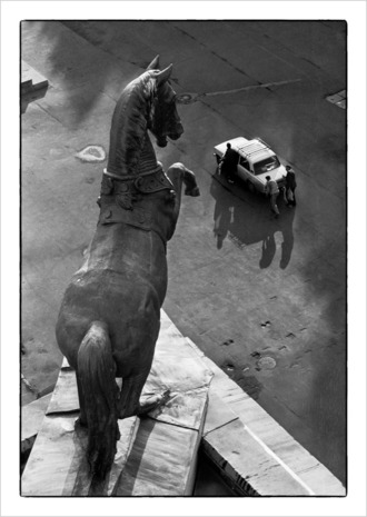 Лошадиная сила