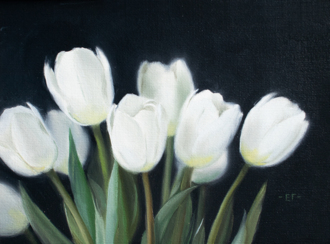 Тюльпаны