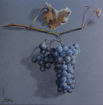 Гроздь винограда. Октябрь. 