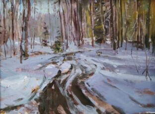 По первому снегу.