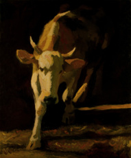 Корова