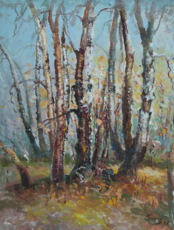 Карельские берёзы