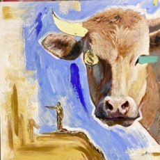 «Желтая корова»