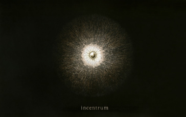 G E N E S I S incentrum