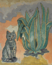 Кот и куст агавы.
