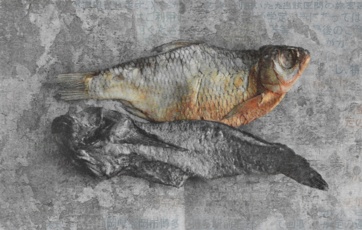 魚の日はいつも (каждый день -рыбный . яп.)