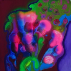 Розовый осот