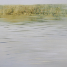 Светлый день