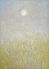 Прилетели солнечные птицы