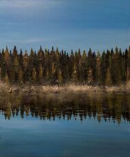 РАННЯЯ ОСЕНЬ