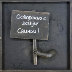 Транспаранты. Осторожно с  ,bcthjv/, свиньи!