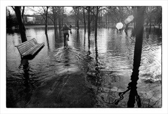 Весенняя лужа