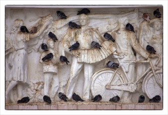 Гармонь и голуби