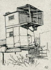 Голубятня в гаражах