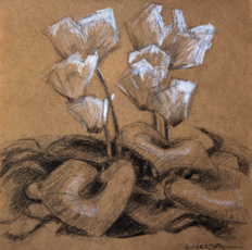 Радостный цикламен.