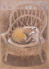 Колыбель для кошки.