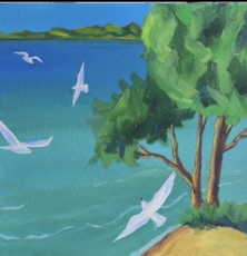 Чайки Балтийского моря