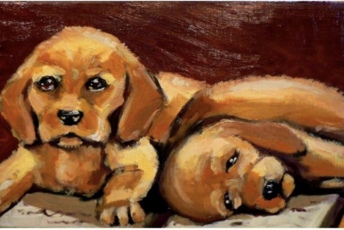 Милые щенки