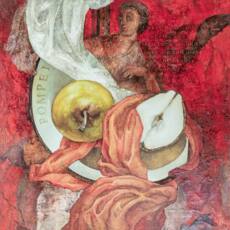 Мгновенье красоты