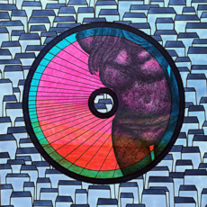 Матовый (2) Девушка в купальнике Пластинка в ретро стиле