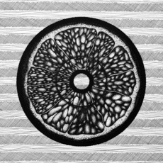 Цитрус Фрукт Апельсин Лимон в разрезе Виниловая пластинка 