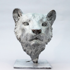 Снежная львица